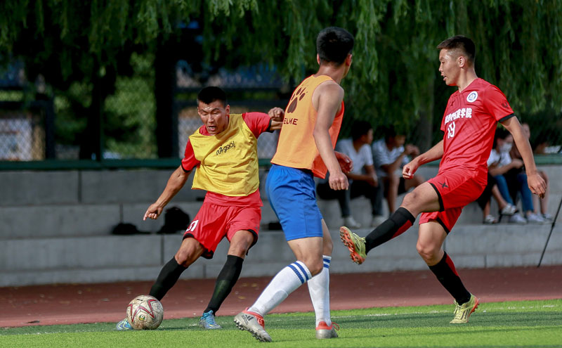 “谁将赢得本赛季的欧冠？” 安切洛蒂：“我的皇家马德里”